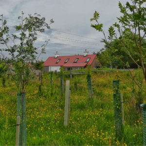 Ecobothy Corporate Booking