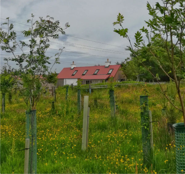 Ecobothy Community Booking